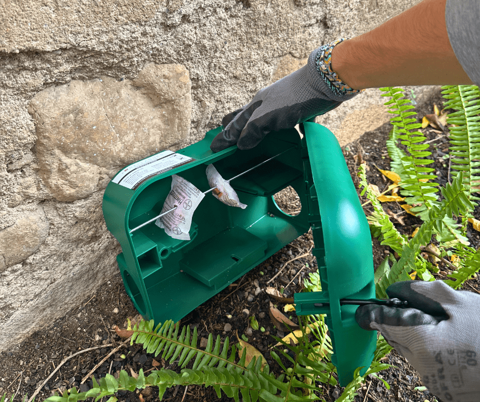 solucions sostenibles plagues