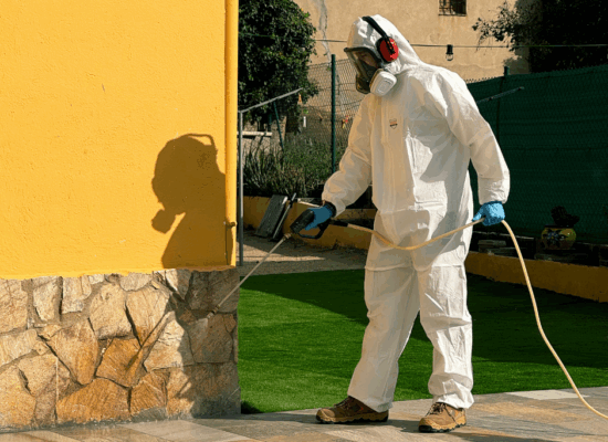 prevenció de plagues a la tardor