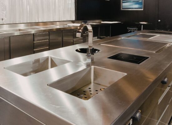 cuina professional d'acer inoxidable al restaurant complint normativa de control de plagues i sanitat ambiental