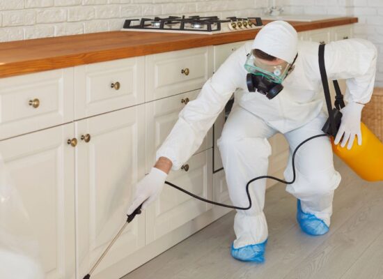 Exterminador de plagues, servei professional de desinfecció, control de plagues per paneroles